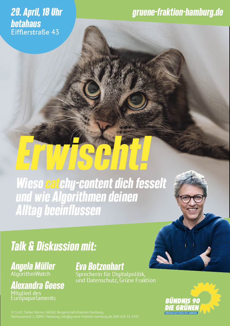 You are currently viewing Wieso cat(chy)-content dich fesselt und wie Algorithmen deinen Alltag beeinflussen